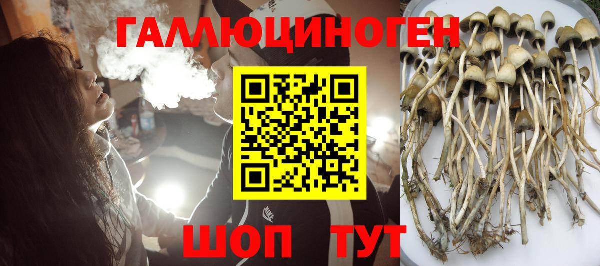 Галлюциногенные грибы прущие грибы  Вход с VPN  Чебаркуль  Галлюциногенные грибы мухоморы 